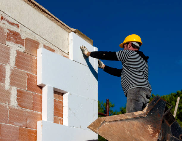 Best Insulation Replacement Services  in Pueblo, CO