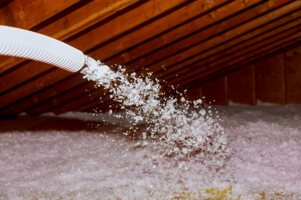 Best Garage Insulation Installation  in Pueblo, CO