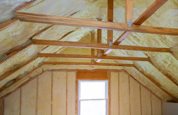 Best Insulation Repair Services  in Pueblo, CO