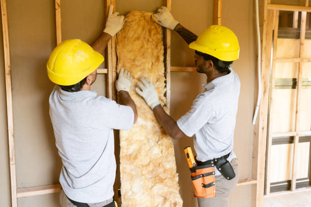 Insulation Repair Services in Pueblo, CO