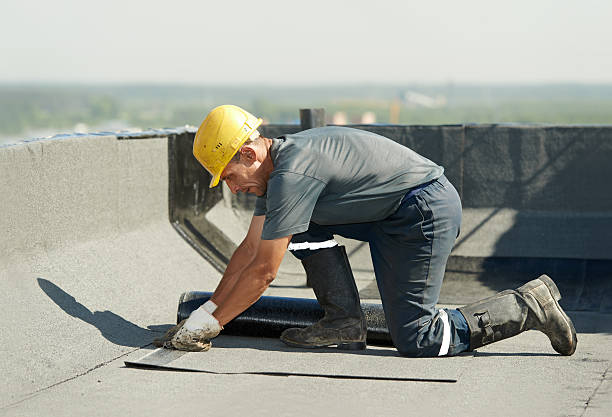 Best Insulation Removal  in Pueblo, CO