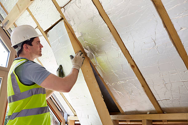 Best Energy-efficient Insulation  in Pueblo, CO